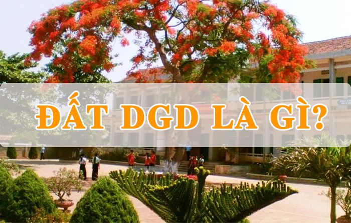 Trường DGD là gì? Quy định về sử dụng đất xây dựng cơ sở giáo dục, đào tạo