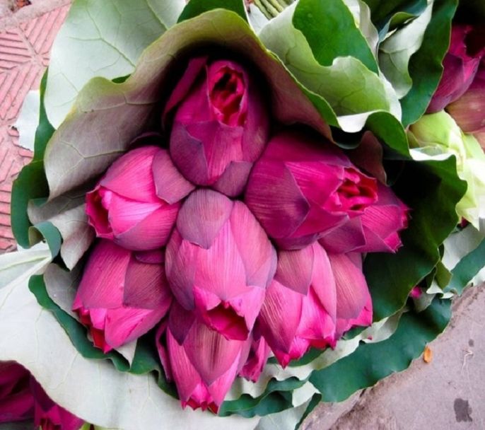 Hướng dẫn cách cắm hoa bàn thờ đơn giản mà đẹp - Blog Bất Động Sản